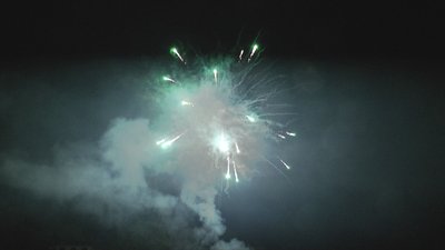 #15108 盆花1.2 36发数