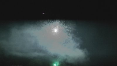 #19316 Cakes 1.2 36 shots