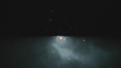 #14493 盆花1.0 10发数