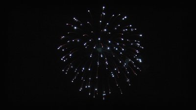 #12697 Shell 6.0"