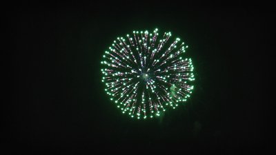 #13109 Shell 6.0"