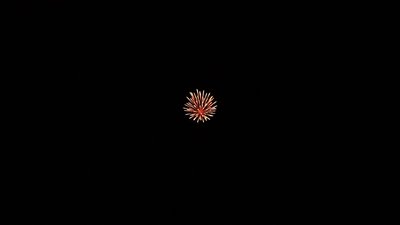 #20318 Shell 4.0"