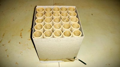 #23596 Cakes 0.8 25 shots