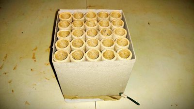 #23600 Cakes 0.8 25 shots