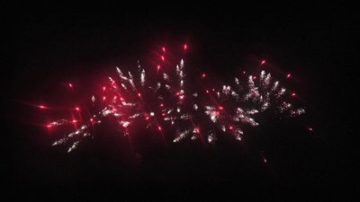 #23595 盆花1.2 25发数