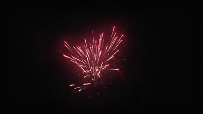 #23588 盆花1.2 20发数