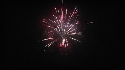 #23586 盆花1.2 16发数