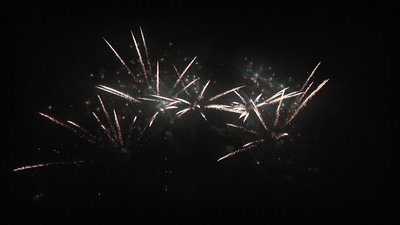 #23587 盆花1.2 25发数