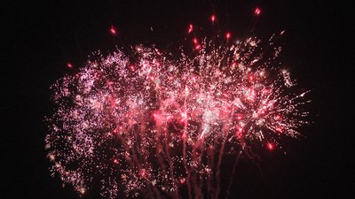 #23604 Cakes 1.2 25 shots