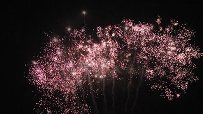 #23602 Cakes 0.8 56 shots