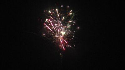 #23608 Cakes 1.0 16 shots