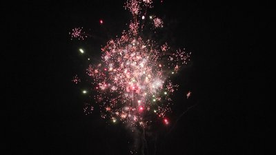 #23610 Cakes 1.2 16 shots