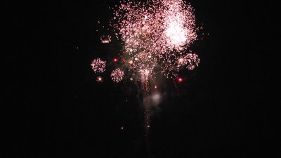 #23611 Cakes 1.2 25 shots