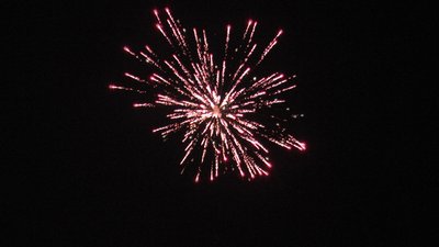 #23655 Festival shells 1.75" 6 balls