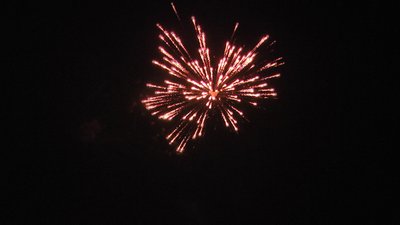 #23655 Festival shells 1.75" 6 balls