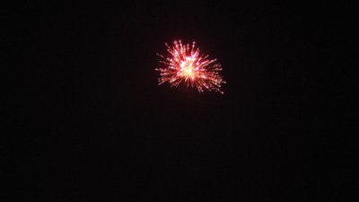 #23656 Festival shells 1.75" 6 balls