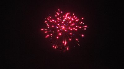 #23656 Festival shells 1.75" 6 balls