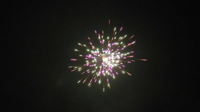 #23656 Festival shells 1.75" 6 balls