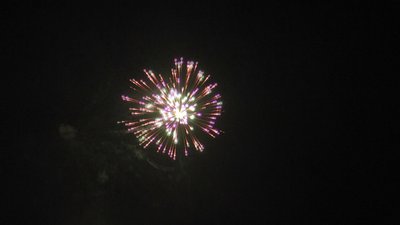 #23656 Festival shells 1.75" 6 balls