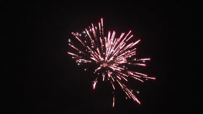 #23657 Festival shells 1.75" 6 balls