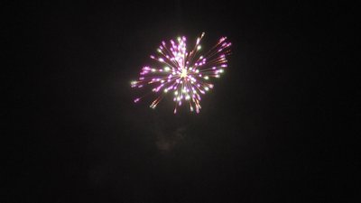 #23657 Festival shells 1.75" 6 balls