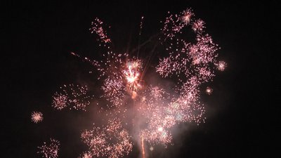 #23700 Module 盆花1.2 25发数