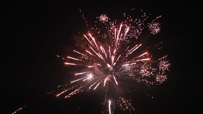 #23703 Module 盆花1.0 16发数