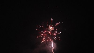 #23702 Module 盆花1.0 16发数