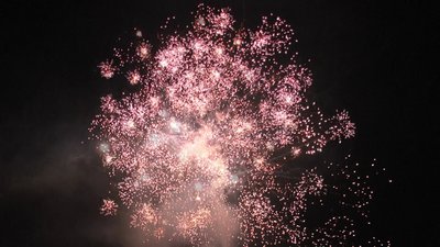 #23701 Module 盆花1.2 25发数