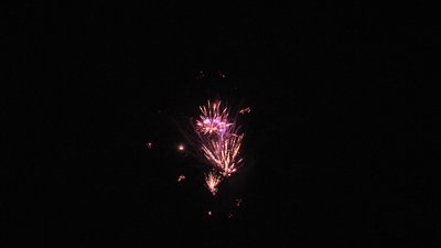 #23717 Cakes 0.8 25 shots