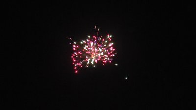 #23654 Festival shells 1.75" 6 balls