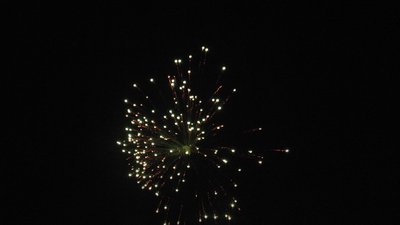 #23654 Festival shells 1.75" 6 balls