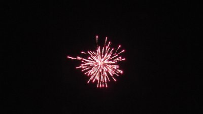 #23654 Festival shells 1.75" 6 balls