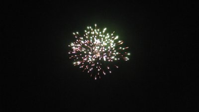 #23658 Festival shells 1.75" 6 balls