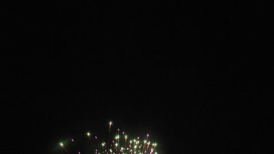 #23658 Festival shells 1.75" 6 balls