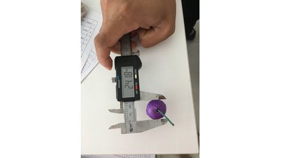 #23716 烟雾 喷泉