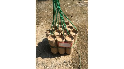 #23756 节日礼花 1.75" 6