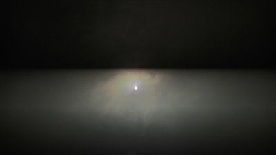 #23781 Cakes 1.2 19 shots