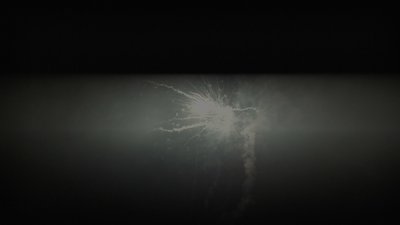 #23779 Cakes 1.2 19 shots