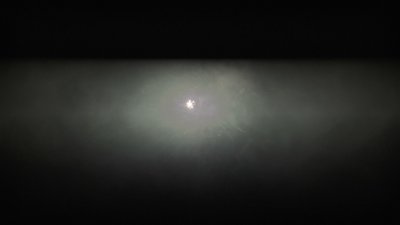 #23778 Cakes 1.2 19 shots