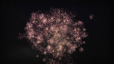 #23799 Compact 1.0 16 coups