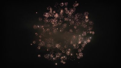 #23806 Compact 1.5 7 coups