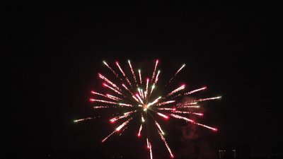 #23569 Festival shells 2.0" 10 balls