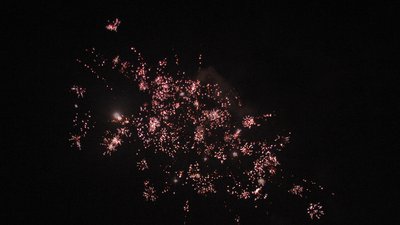 #23569 Festival shells 2.0" 10 balls