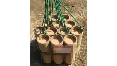 #23839 Festival balls 1.75" 6 bombes