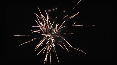 #23882 盆花0.8 25发数