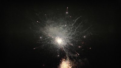 #23878 盆花1.2 100发数