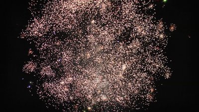 #23885 盆花1.2 36发数