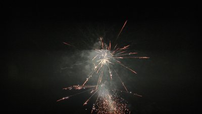 #23879 盆花1.0 100发数