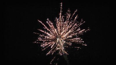 #23880 盆花1.0 42发数